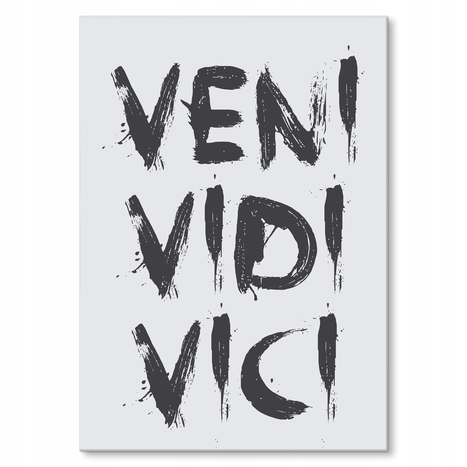 Kovový plakát Veni vidi vici Dárek 30 x 42 cm