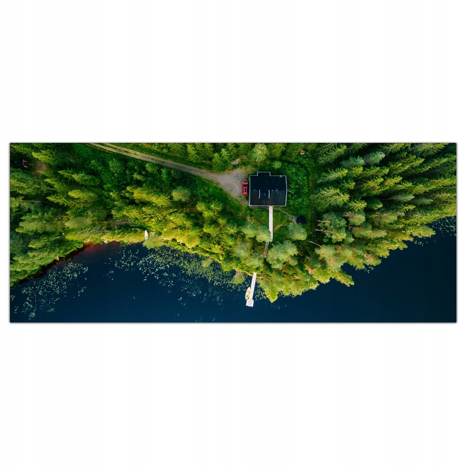 

Obraz Szklany Foto-obraz Chata Las Drzewa 125x50