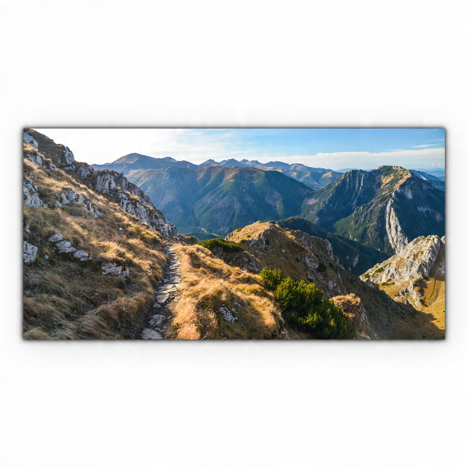 

Obraz canvas na ścianę 140x70 Ścieżka Tatry Góry
