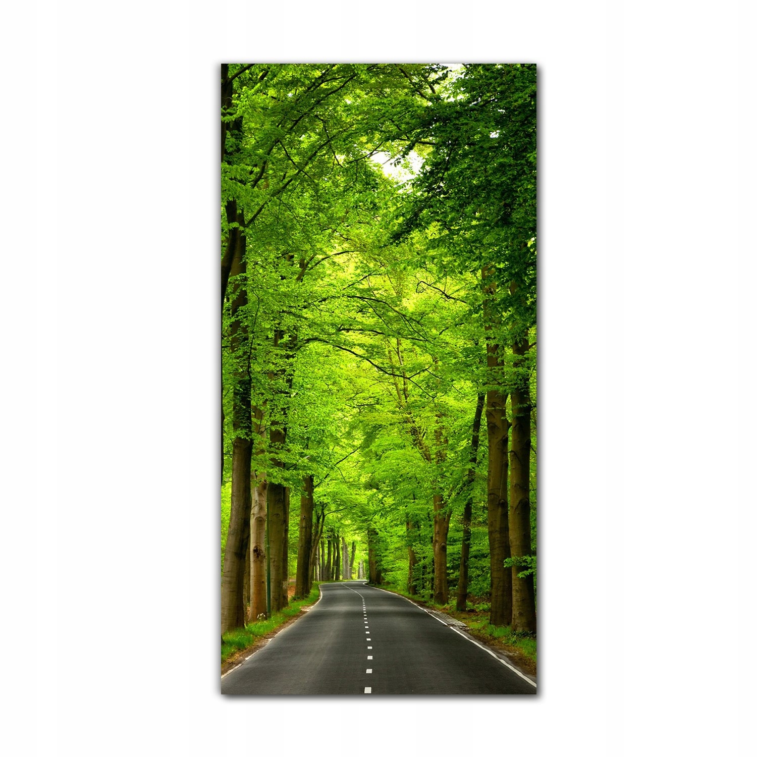 

Obraz szklany do sypialni 70x140 Drewno przyroda