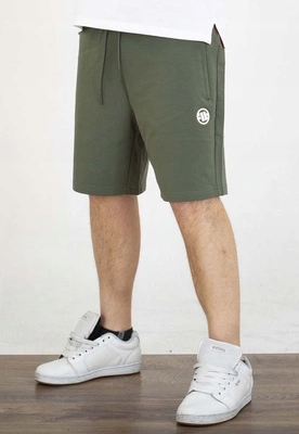 Kraťasy Pit Bull Nugget Small Logo sage green