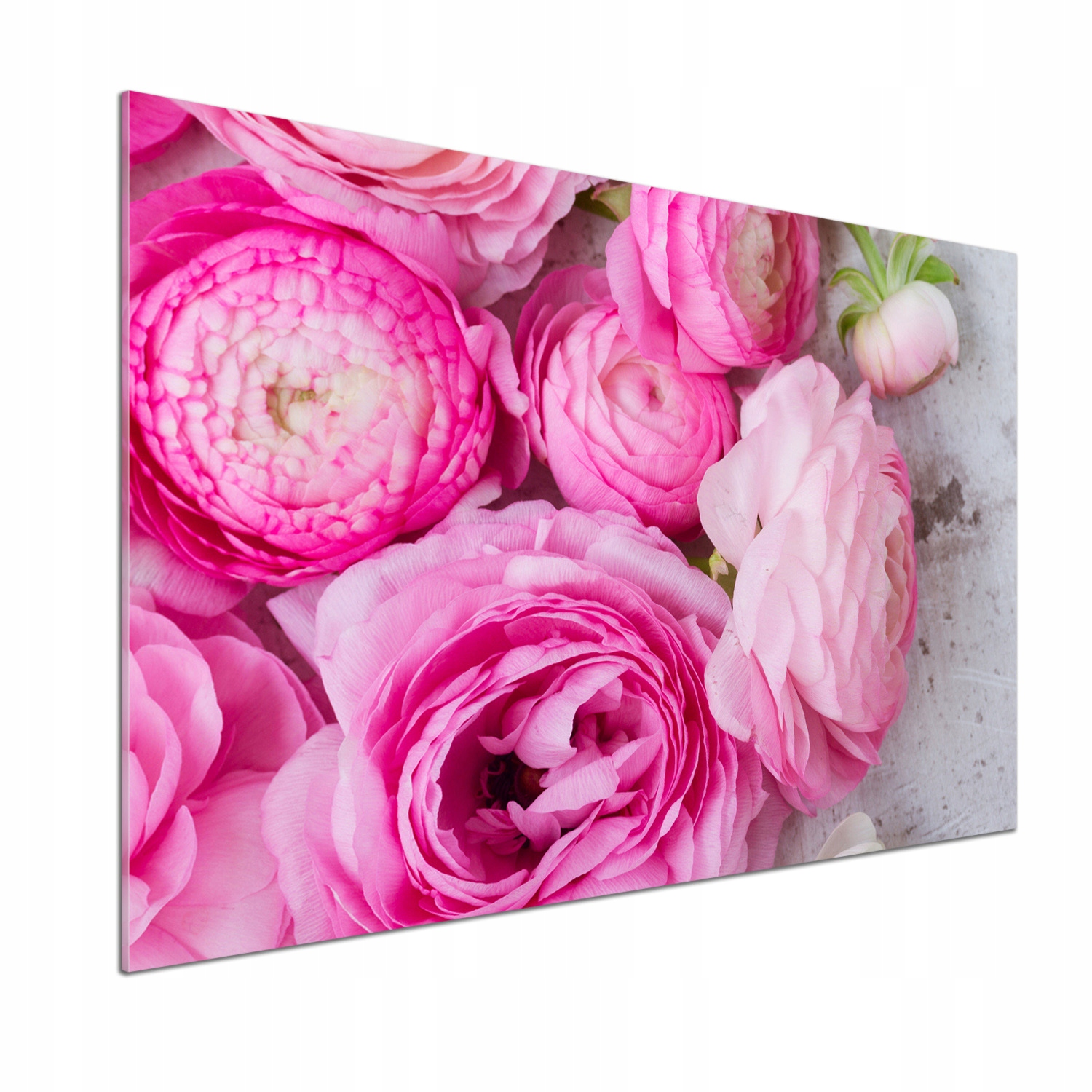 Panel dekor sklo Divoké ruže 100x70 cm Lepidlo