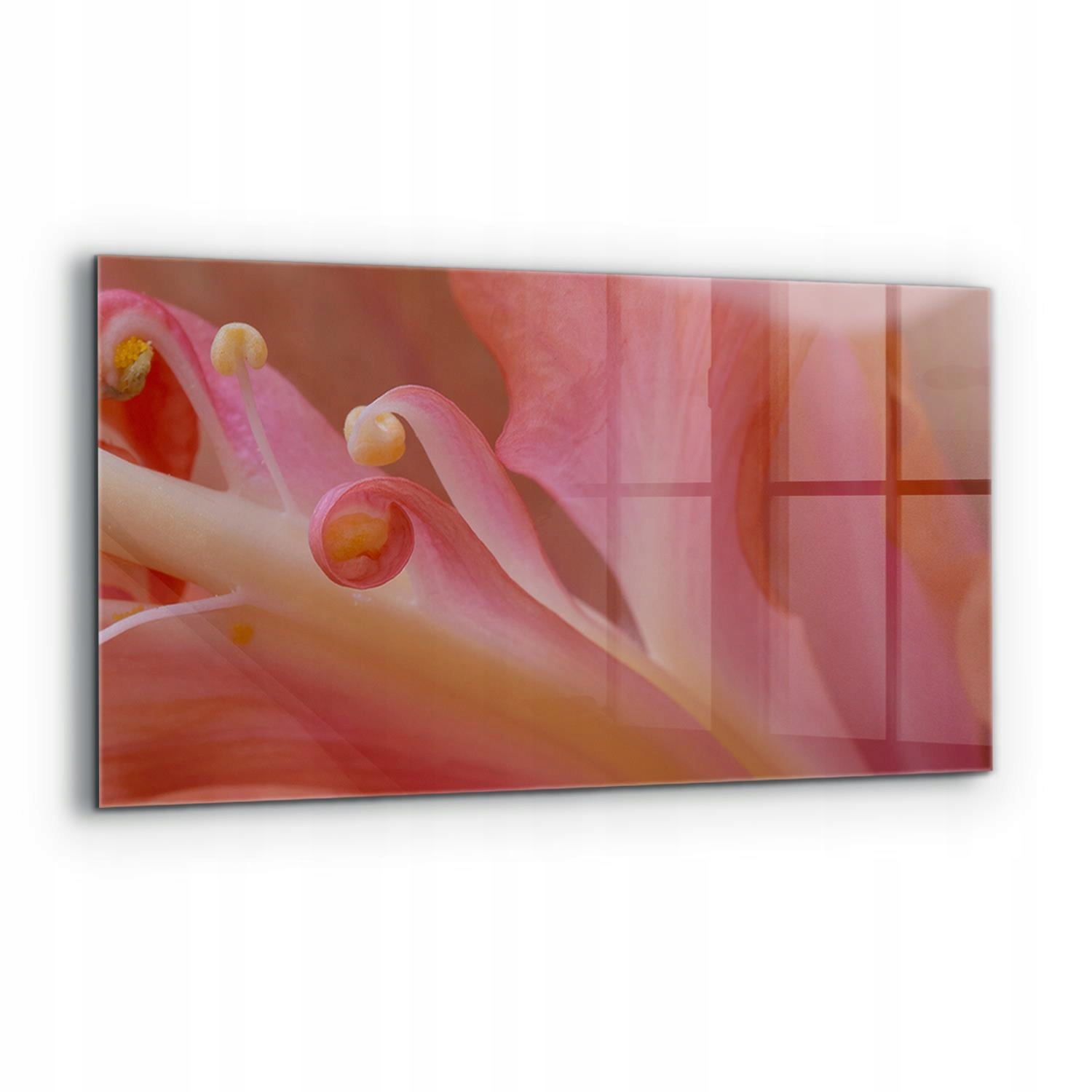 Dekoračný panel Kvetinový peľ Príroda 120x60 cm