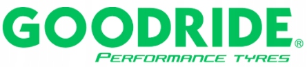 4x225/45R17 94W XL Goodride Z401 opony całoroczne Klasa ekonomiczna