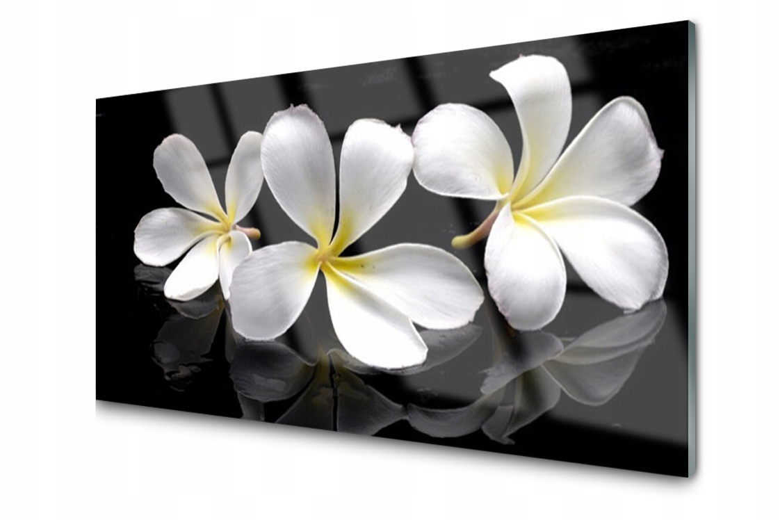 

Panel szklany dekor Kwiaty Roślina 140x70 + Klej