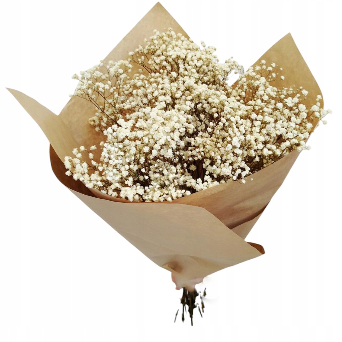 Gipsówka stabilizowana wiecznie żywa naturalnie biała duży bukiet