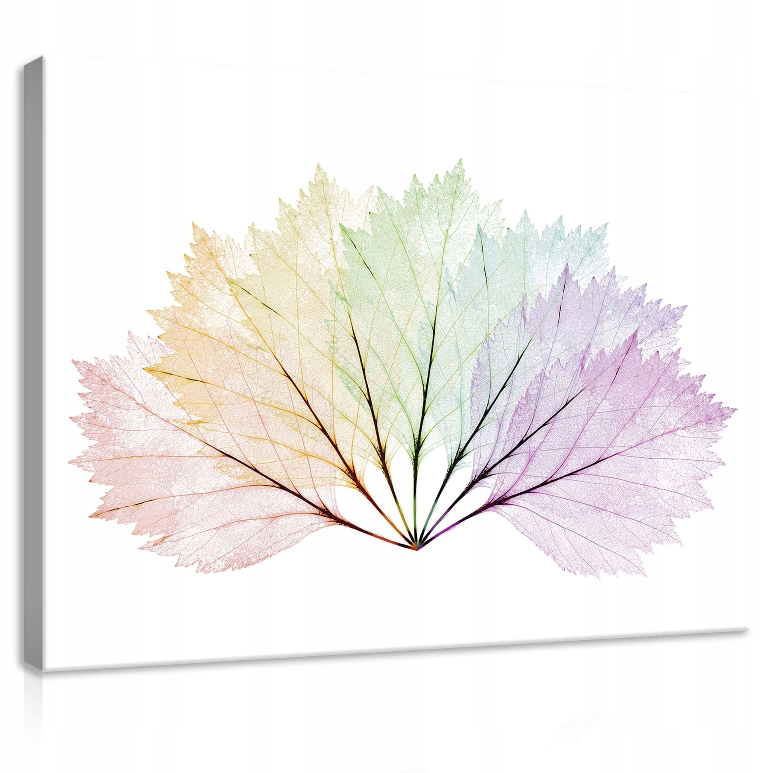 Obraz 80x60 Průhledné listy pastelový gradient jemné žilky klid