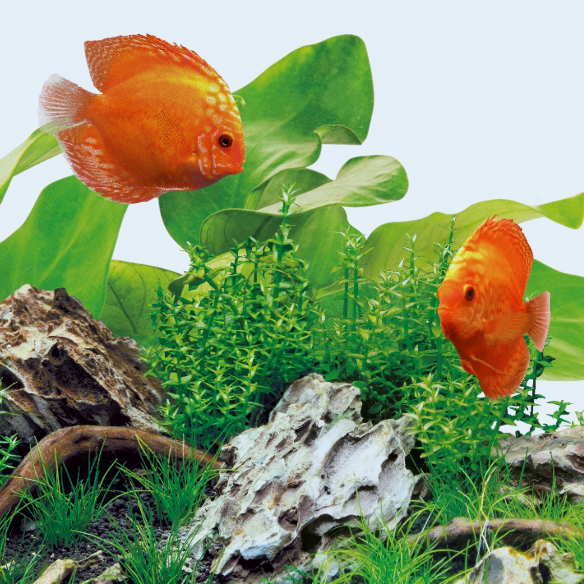 Levně Denní Led žárovka 1200 mm