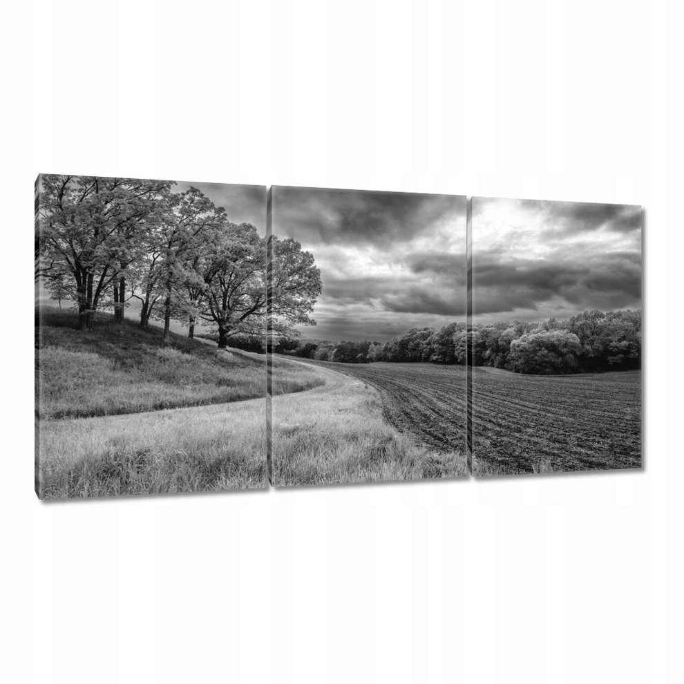 

Obrazy 120x60 Czarno białe pole