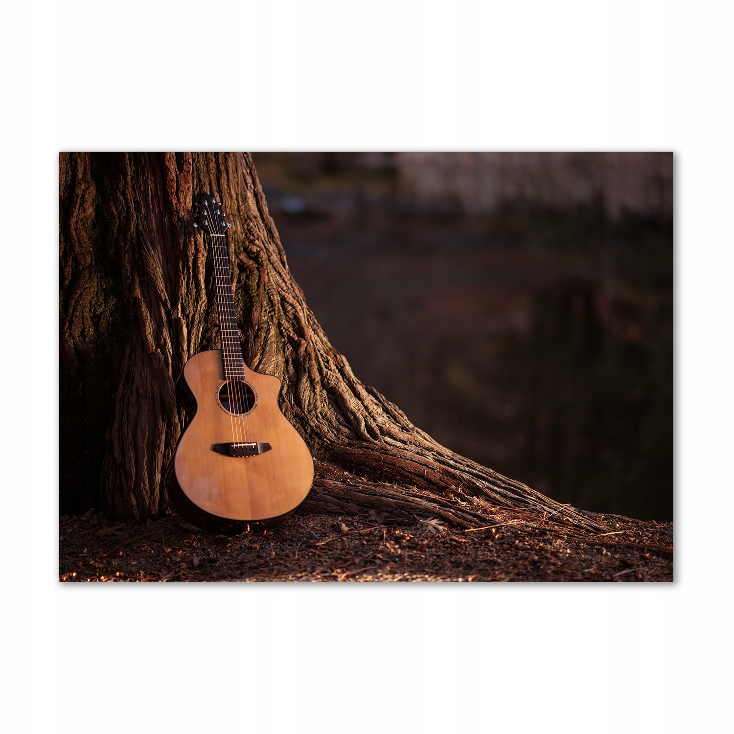 

Foto-obraz szklany Gitara akustyczna 100x70