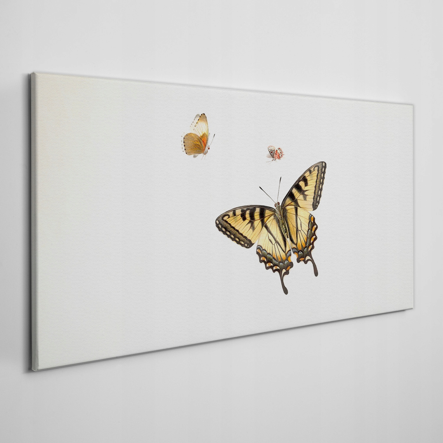 

Nowoczesny obraz na płótnie Owad motyl 140x70 cm