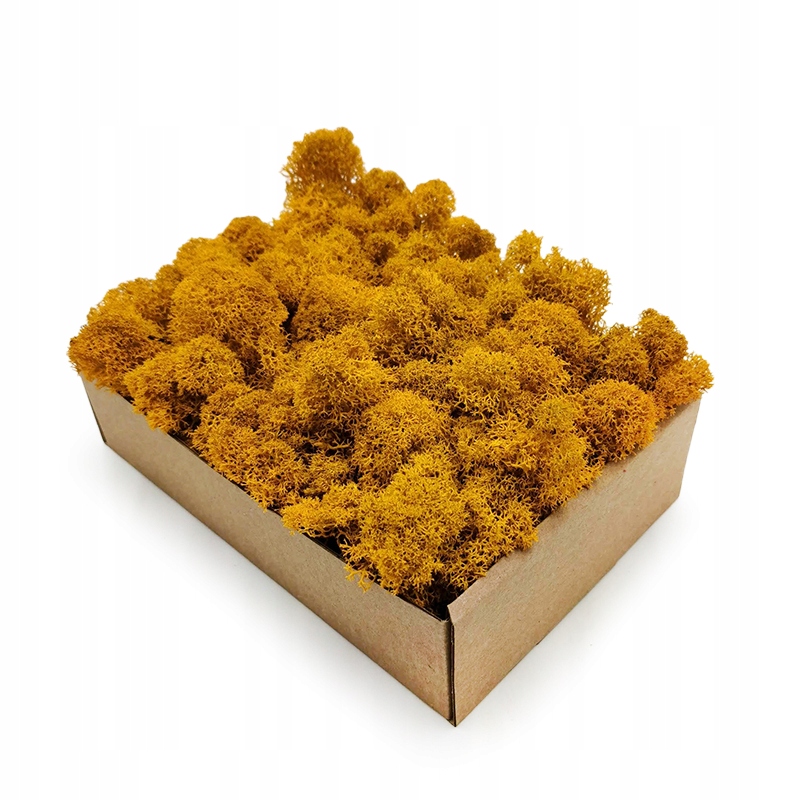 

Mech Chrobotek Fiński Oczyszczony 50g