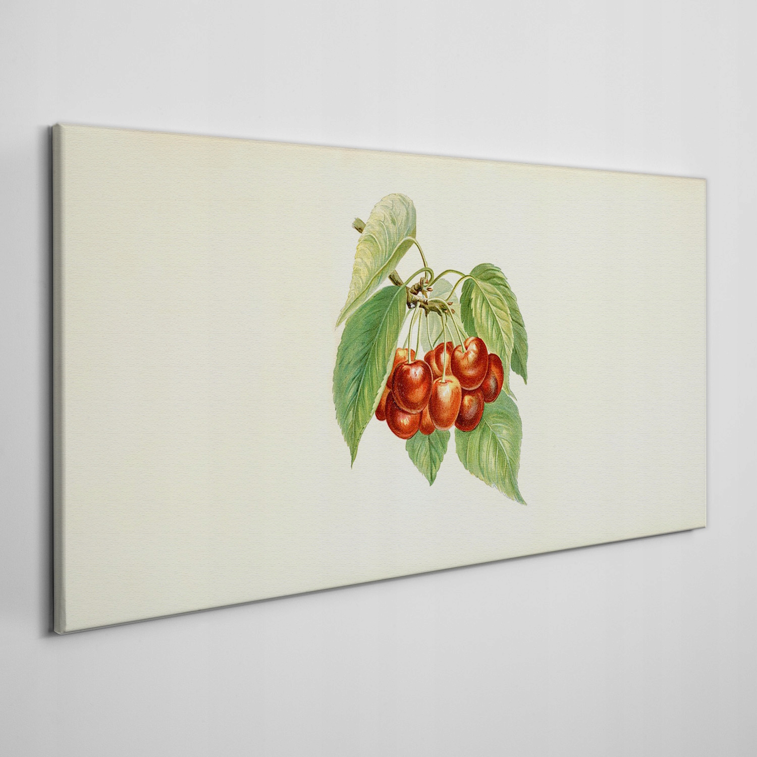 

Obraz płótno Owoce wiśnie gałęzie liście 100x50 cm