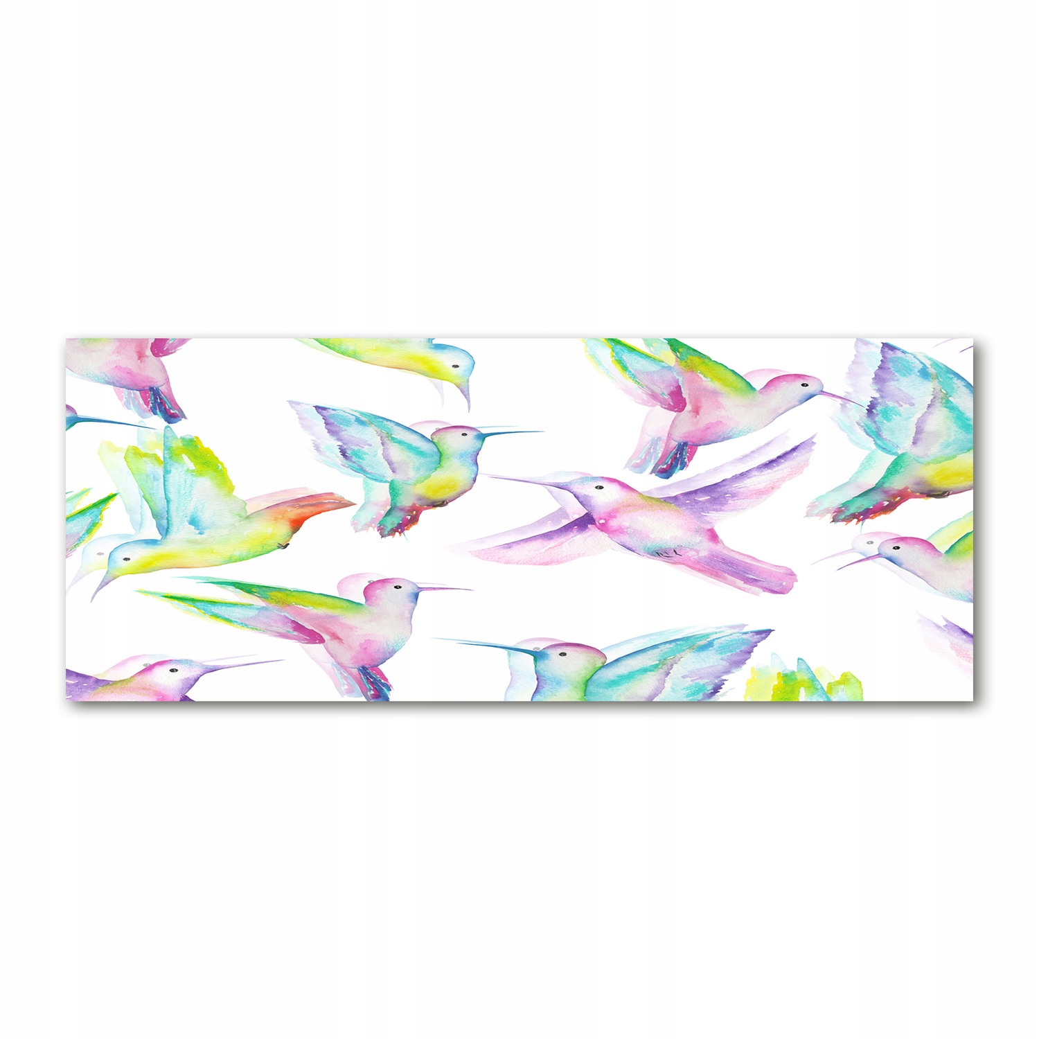 

Foto obraz na szkle akrylowym Kolibry 125x50 cm