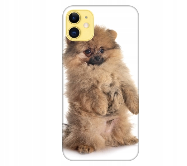 

Etui pokrowiec do iPhone 11 Pies pomeranian szczen