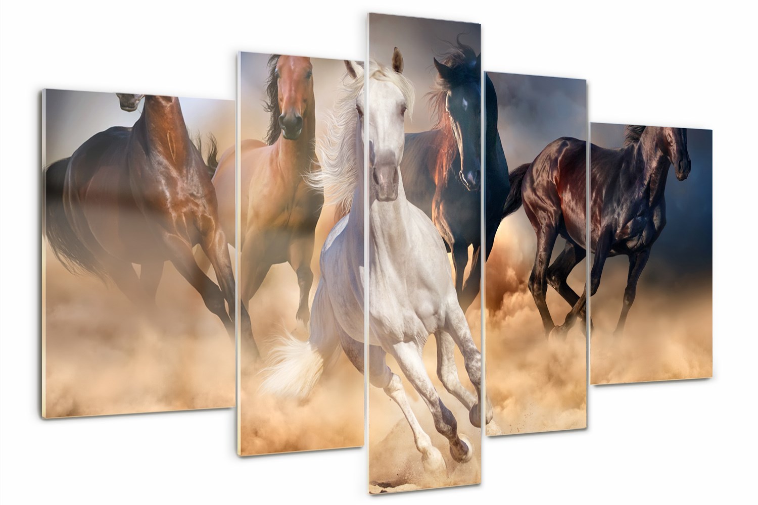 Foto Obraz zo skla veľký triptych Kone v cvale