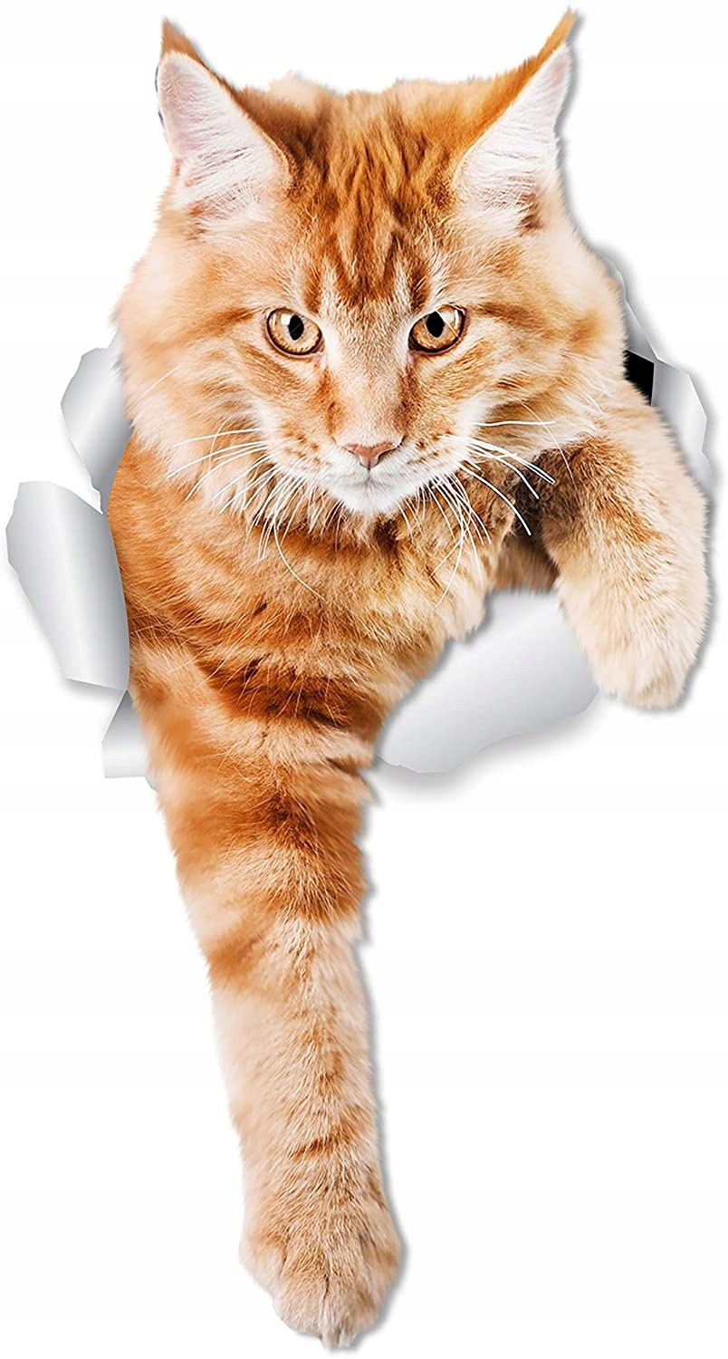 

Naklejka Ścienna Kot 3D 2 Sztuki Zestaw Cat Kotek