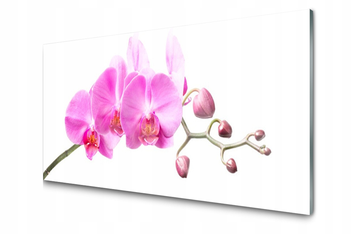 Panel szklany Płytka Kwiaty Roślina 140x70