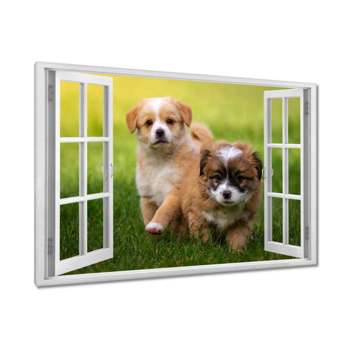 Obrazy 120x80 Pejsci