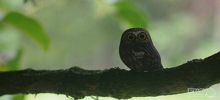 Puzzle 3D Układanka Sowa - Eko zestaw kreatywny dla dzieci 6 lat+, Eugy Kod producenta 5313944