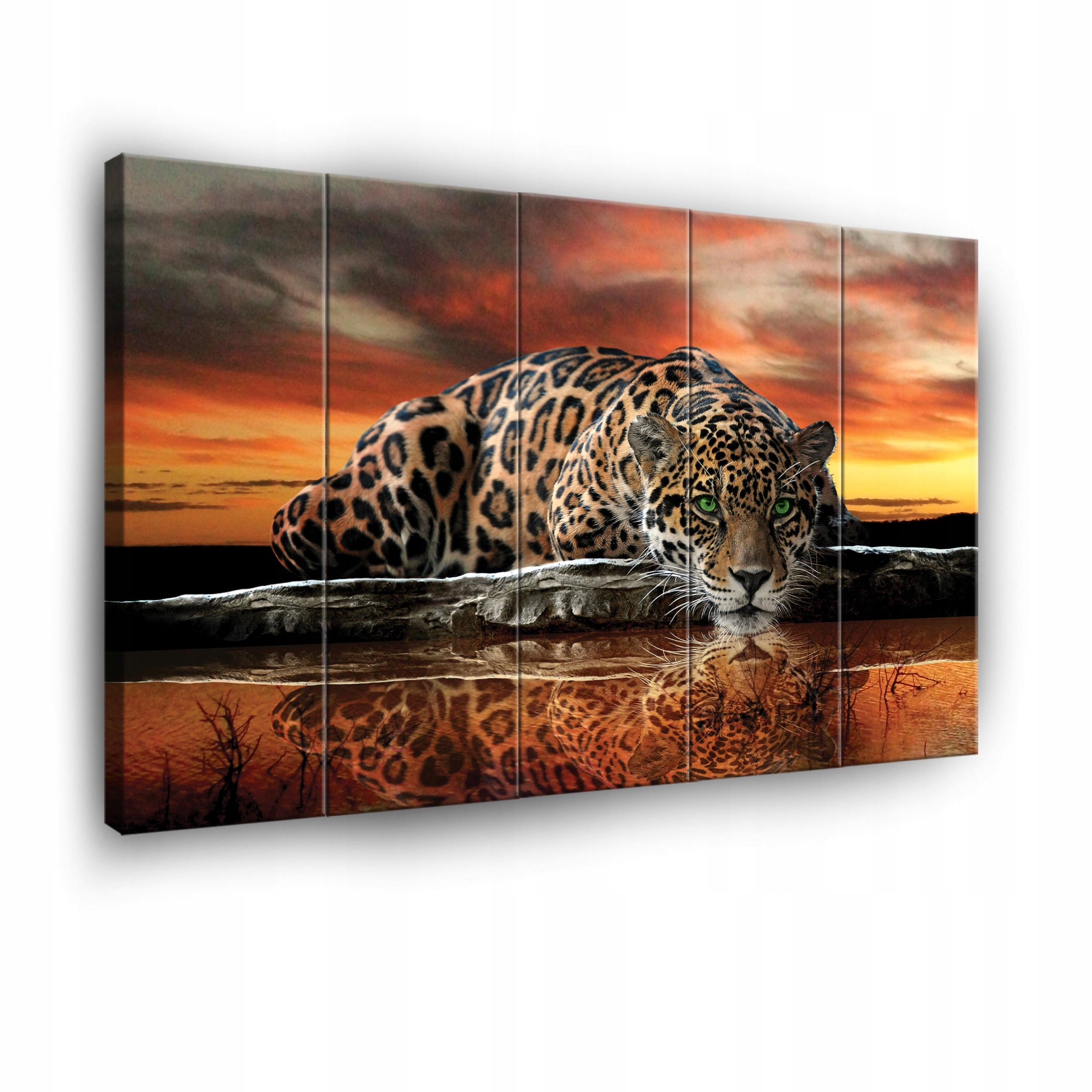 Obraz Tiger Safari Na Plátne 5-DIELNA Stena Obývacia Izba Spálňa 150x100