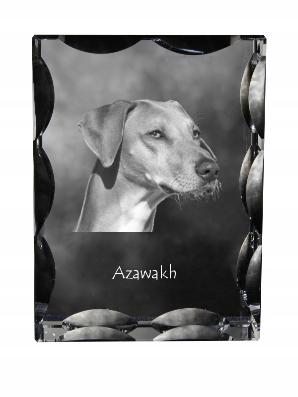 Africký chrt, Azawakh, fotografia psa v ozdobnom kryštáli, suvenír
