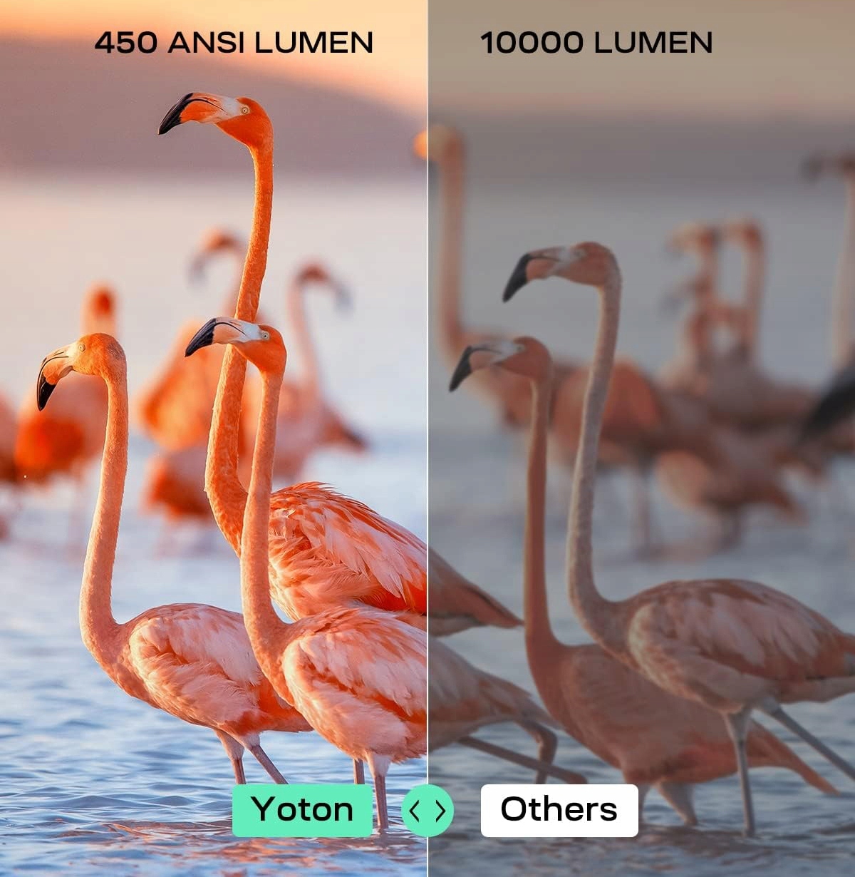 Projektor YOTON Y9 WiFi Bluetooth 15000 Lumen Full HD 1080P z torbą NETFLIX Model Y9