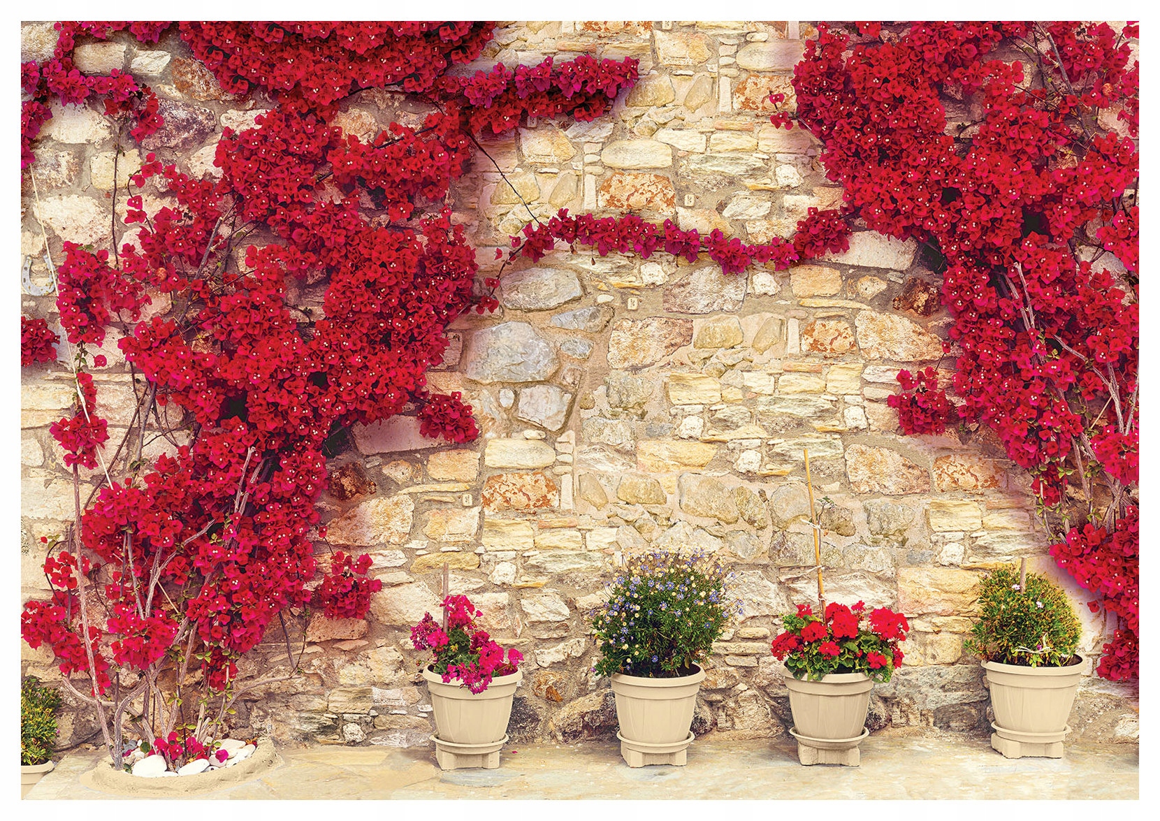 Fototapeta vlies Bugenwilla Kameň Kvety Boho Rustikálny 368x254 lepidlo