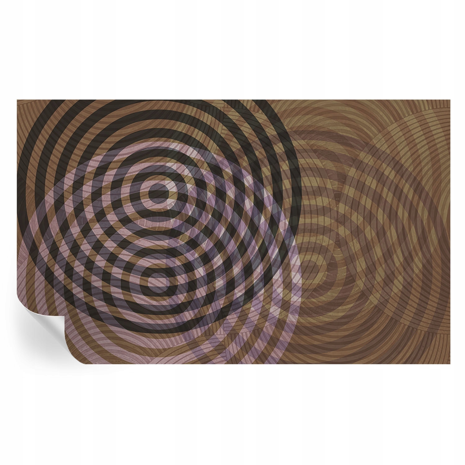 Samolepicí fototapeta do pokoje domu Hypnotizující kruhy 416 x 254 cm