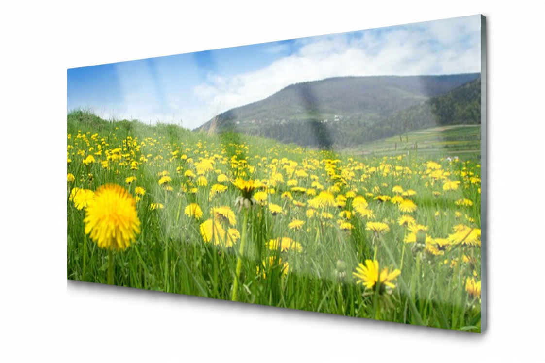 

Panel szklany dekor Mniszek Łąka 140x70 + Klej