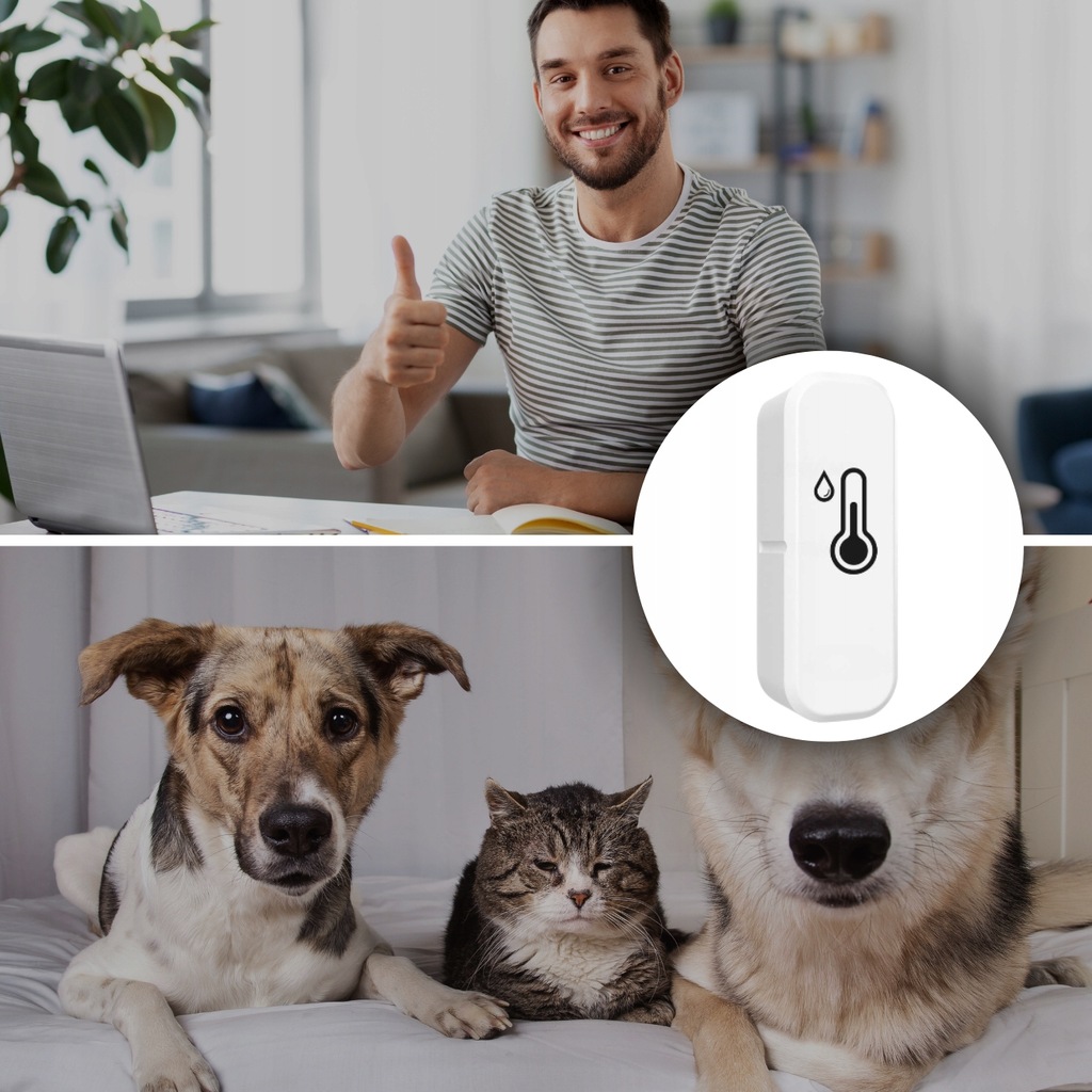 CZUJNIK TEMPERATURY I WILGOCI TERMOMETR SMART DOM APLIKACJA COZY LIFE WIFI Zasilanie baterie