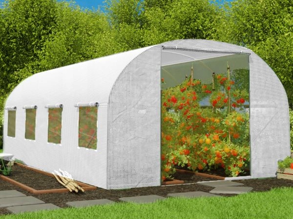 TUNEL OGRODOWY FOLIOWY OGRODNICZY NA WARZYWA POMIDORY SZKLARNIA 2,5 X 4 M Kolor biały