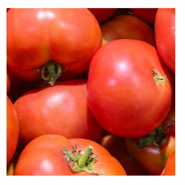 Pomidor malinowy 5kg