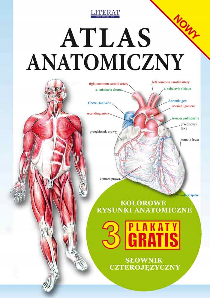 

Atlas anatomiczny 3 plakaty
