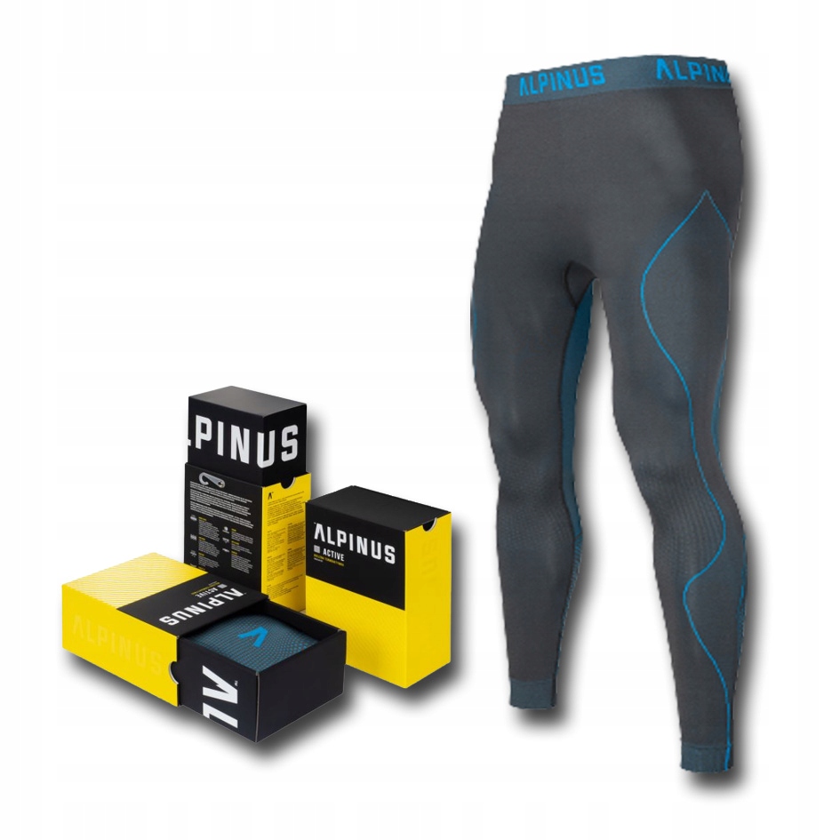 

Spodnie Active Legginsy Termo Męskie Alpinus M