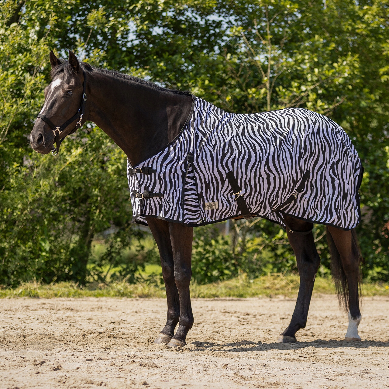Deka pro koně Qhp Fly proti hmyzu vzor zebra 205 (155)
