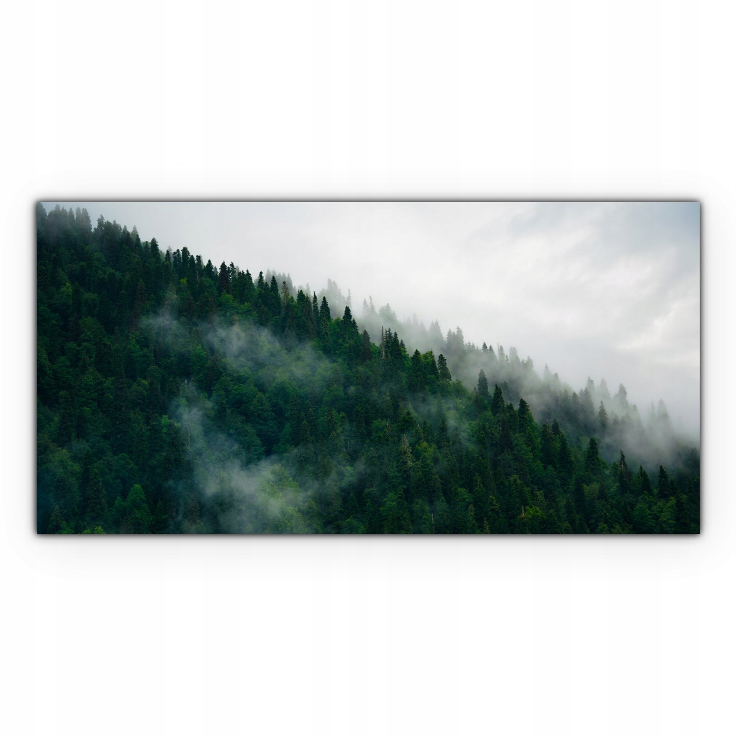 

Obraz Canvas dekoracja 100x50 Mgła Góry Las Drzewa
