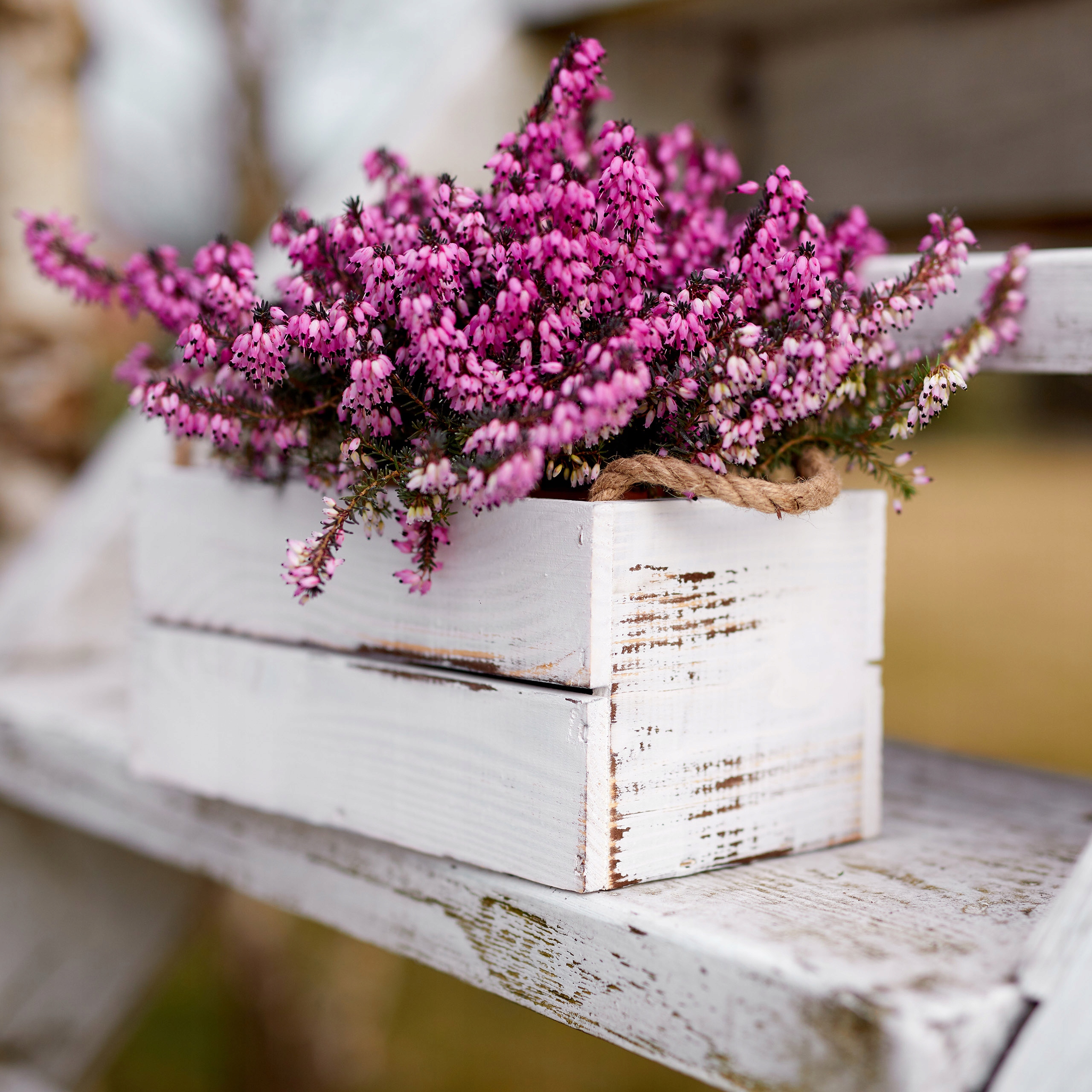 BIAŁA SKRZYNKA DREWNIANA NA KWIATY ZIOŁA WRZOSY Marka WoodBox