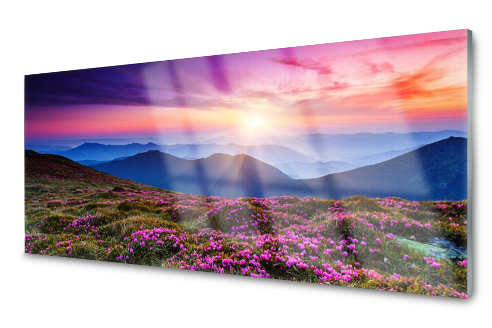 

Panel szklany do kuchni Góra Łąka Słońce 125x50