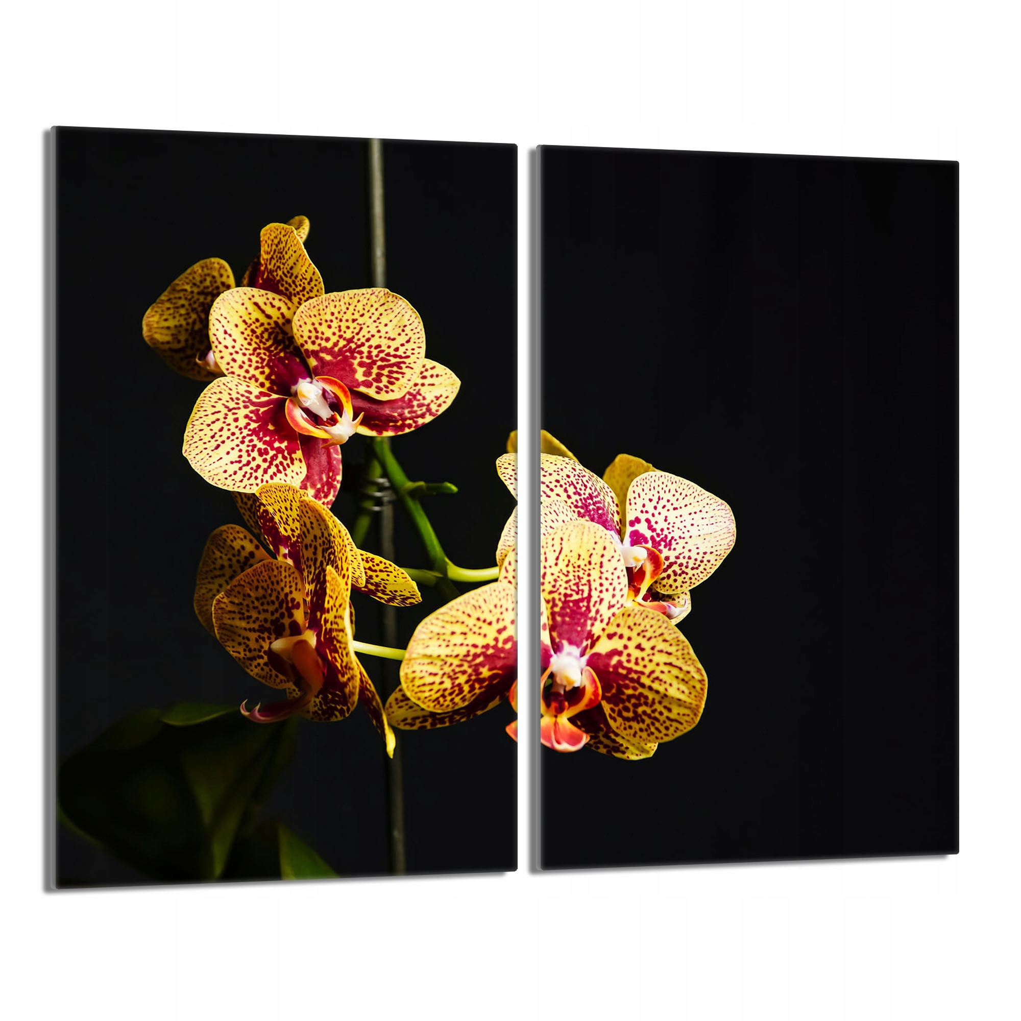 Skleněná ochranná deska na sporák 30x52 Orchidej Do Kuchyně