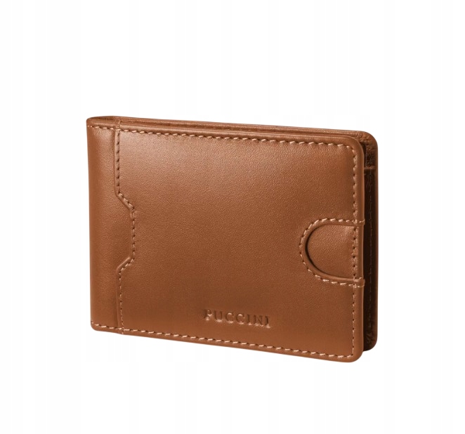 Pánská kožená peněženka Puccini Vulcano Collection VC92524-2B Hnědá Rfid