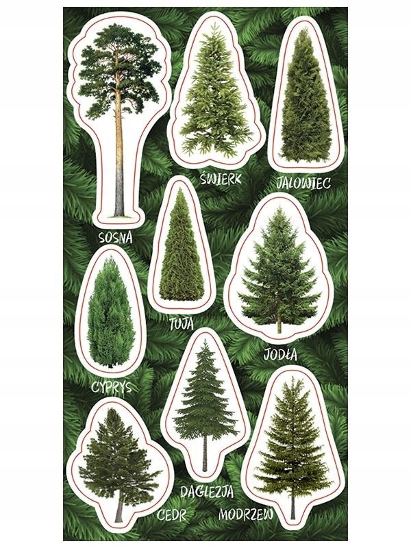 

Naklejki Drzewa iglaste