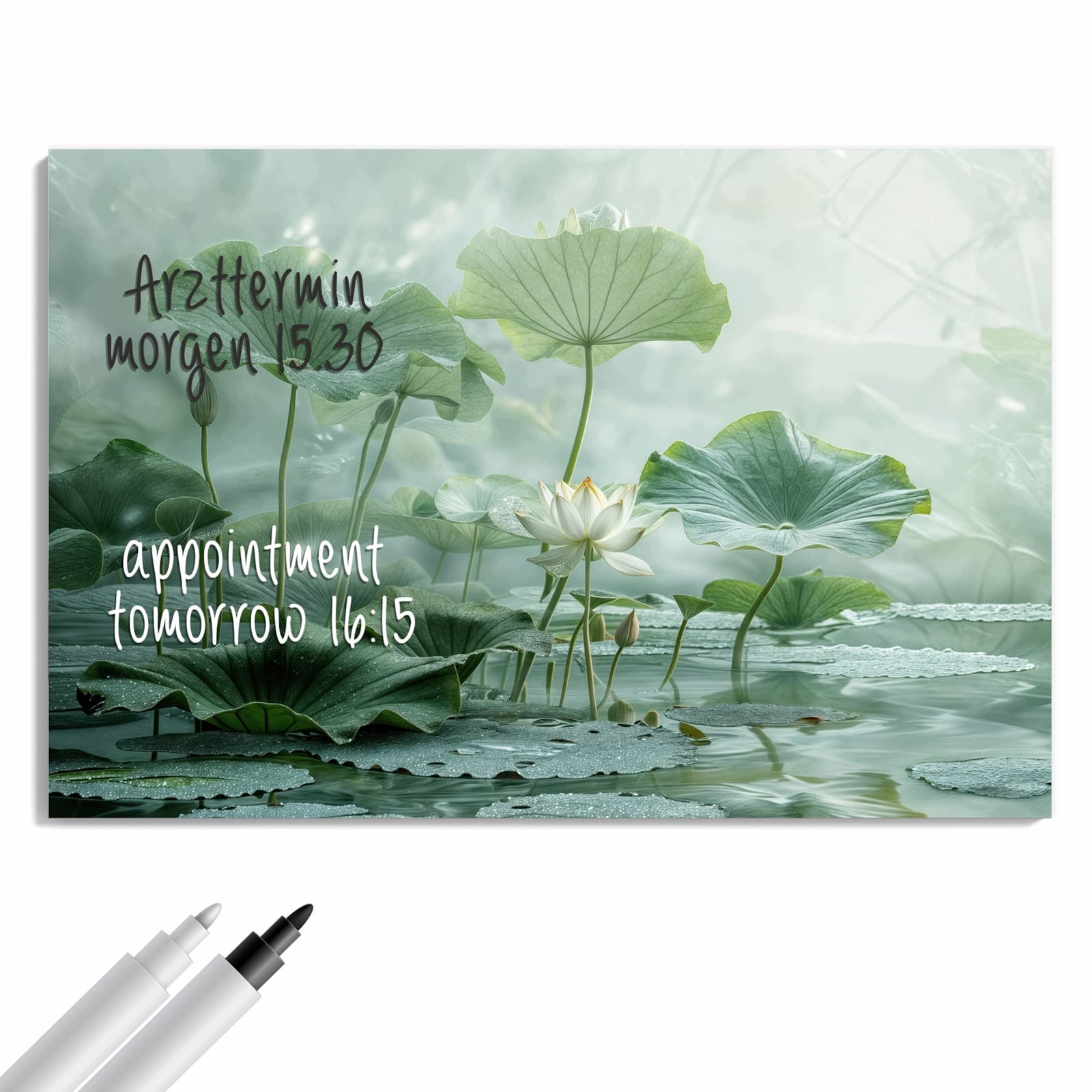 Magnetická tabule Staw lotosový 90 × 60 cm