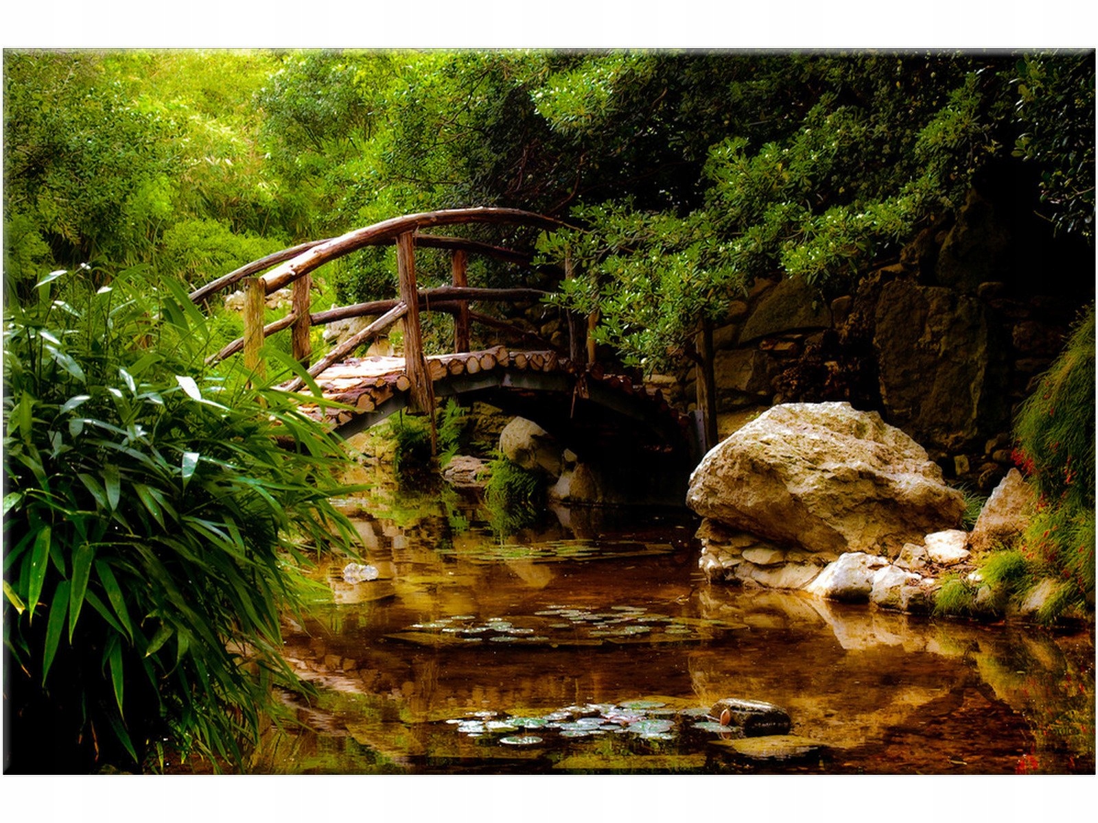 

Obraz Most Park Dżungla Las 120x80 do salonu Rzeka