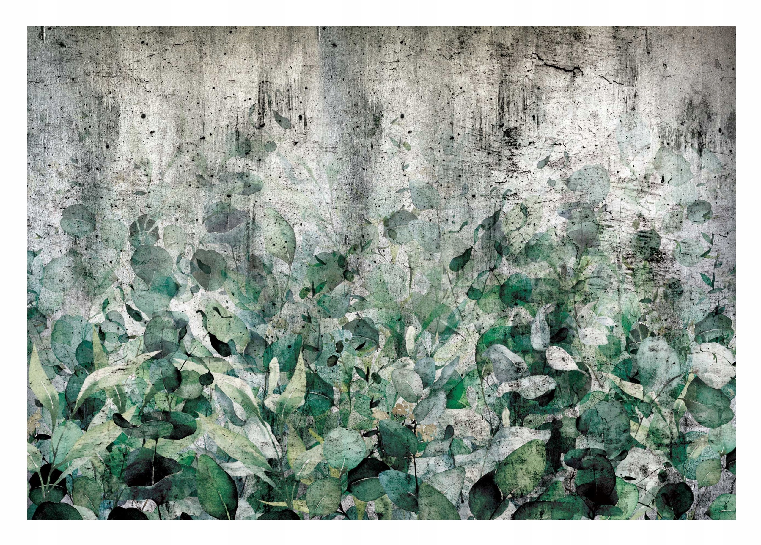 Fototapeta Listy Beton Příroda Ložnice 254x184