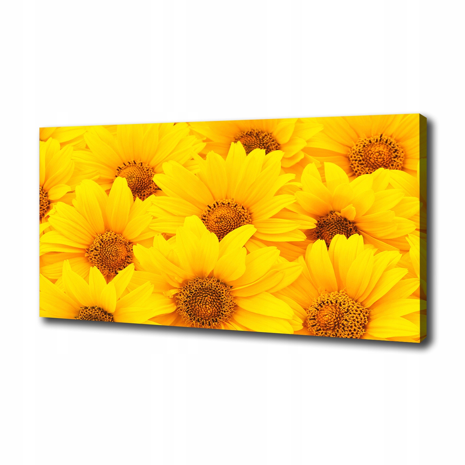 

Foto obraz canvas na ścianę Słoneczniki 100x50 cm