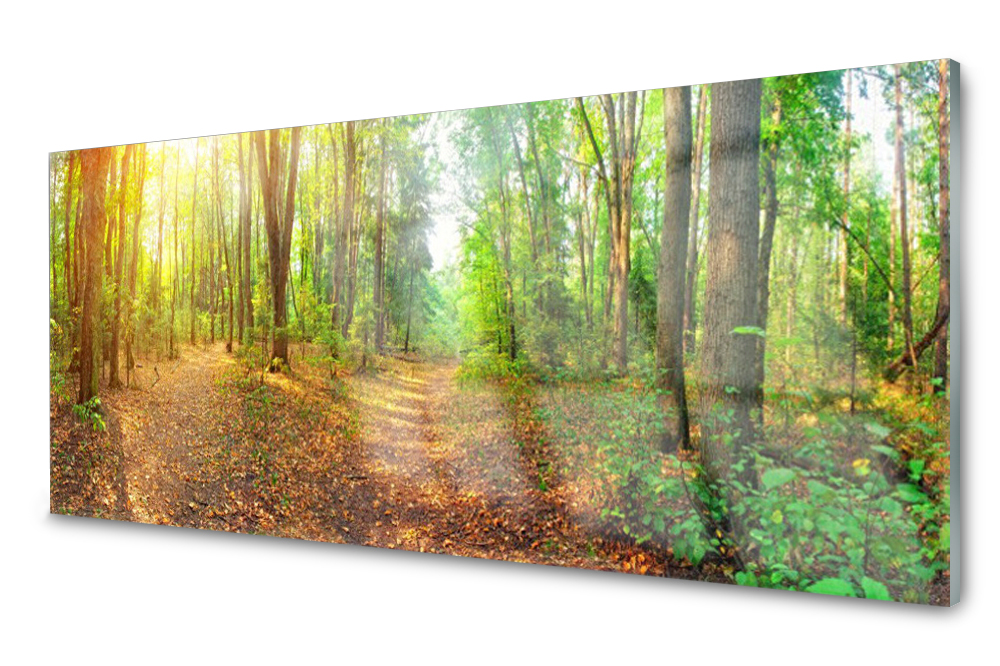 

Panel szklany do kuchni Las Dekor 125x50