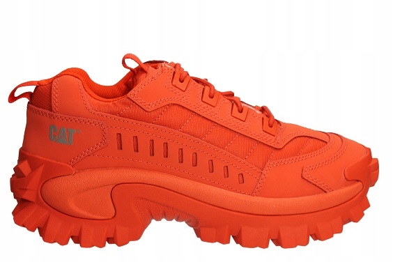 

Cat Caterpillar Intruder P110460 ROZM.42