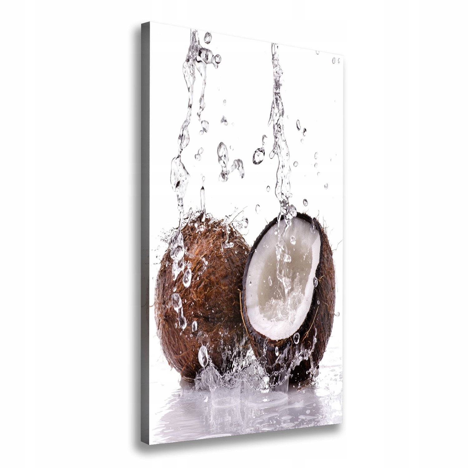 Fotoobraz na plátně Kokos 50 x 100 cm