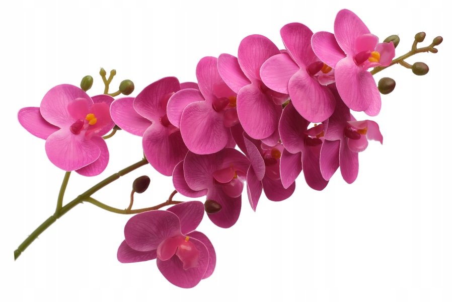 

Storczyk Sztuczny Silikonowy Gałązka Jak Żywy